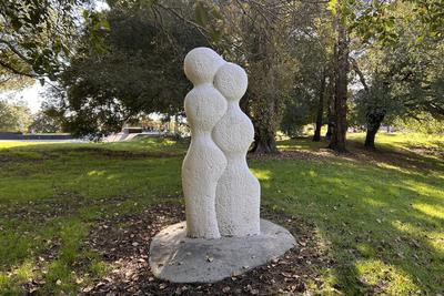 Entwined Figures