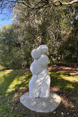 Entwined Figures